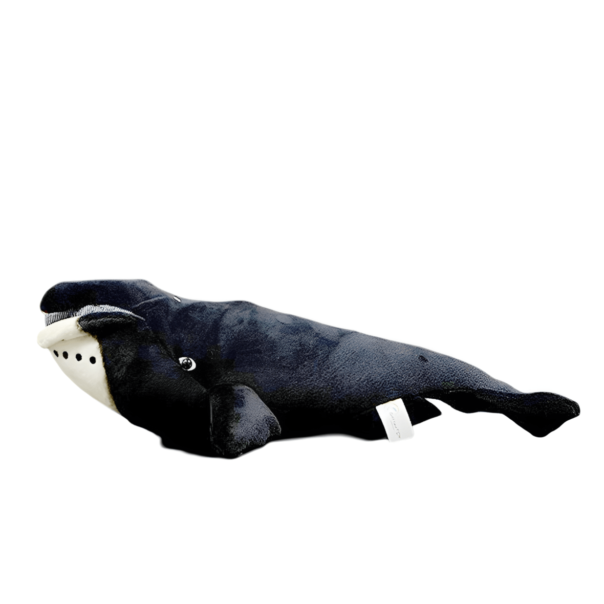 download – 2025-03-21T174653.144 (1) (1)