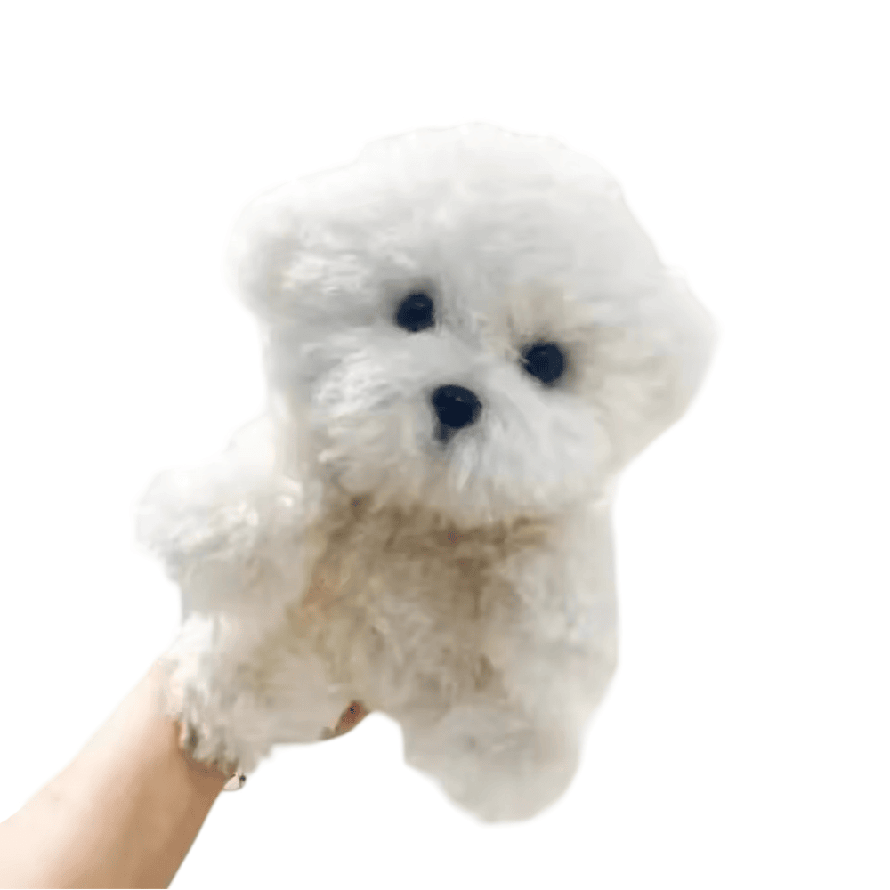 Curly Dog Soft Plush Toy Curly Dog Soft Plush Toy