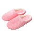 Indoor Warm Plush Slipper For Women