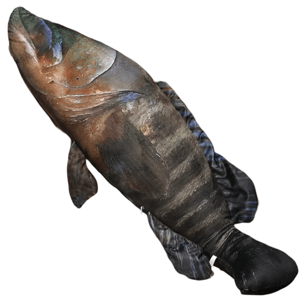 Groupers Fish Plush Toy Groupers Fish Plush Toy