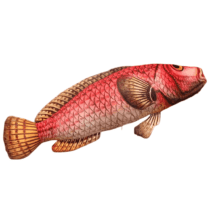 Chang Hong Fish Plush Toy