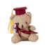 Graduation Teddy Bear Soft Plush Toy