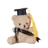 Graduation Teddy Bear Soft Plush Toy