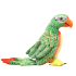 Realistic Green Parrot Soft Plush Toy