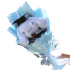 Sanrio Cartoon Graduation Cinnamoroll Plush Bouquet