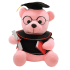 Soft Stuffed Graduation Bear Plush Toy