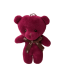 12cm Animal Red Wine Bear Stuffed Keychain