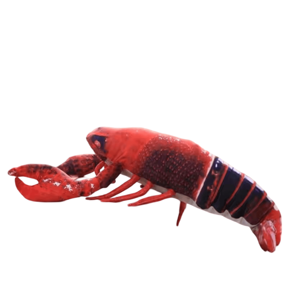 Sea Animal Black Lobster Soft Plush Toy
