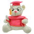 Soft Stuffed Graduation Teddy Bear Plush Toy