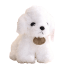 Soft White Teddy Dog Plush Toy