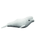 Sea Animal Beluga Whale Soft Plush Toy