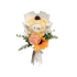 Anime Sanrio Pompompurin Stuffed Plush Bouquet