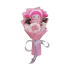 Anime Sanrio My Melody Toy Bouquet