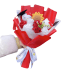 Cartoon Hello Kitty Flower Plush Bouquet With Graduation Hat