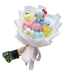 Sanrio Cartoon Plush Character Bouquet
