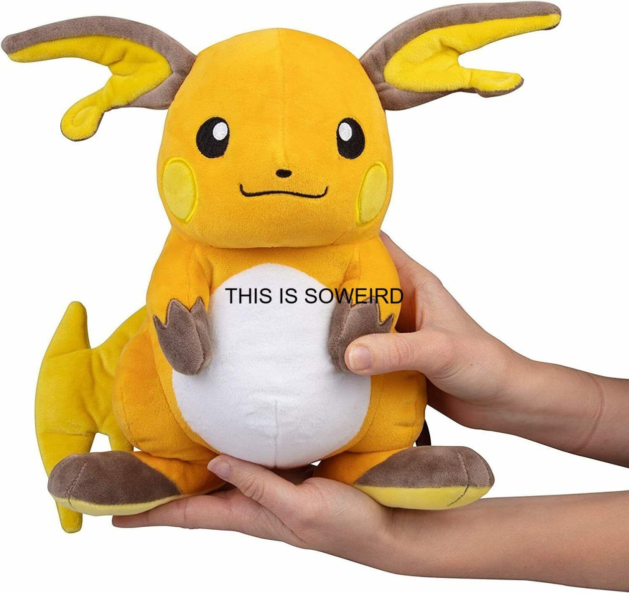 Pokemon Raichu Plush Stuffed Animal Toy Large 12 Inch Soft Plush Toy for Kids