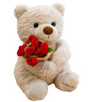 Teddy Bear Soft Plush Toy