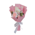 36cm Sanrio Hello Kitty Cartoon Plush Bouquet