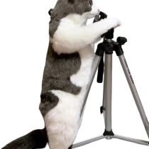 Animal Cat Plush Backpack