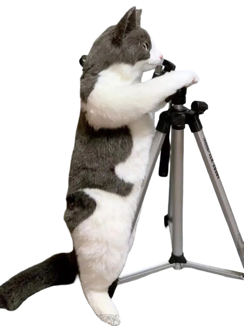 Animal Cat Plush Backpack Animal Cat Plush Backpack