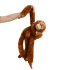 Orangutan With Baby Long Arm Plush Toy
