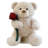 35cm Teddy Bear With Rose Soft Plush Toy