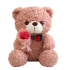 25cm Teddy Bear With Bouquet Plush Toy
