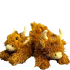 Highland Cow Soft Stuffed Plush Slippers