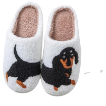 download__5_-removebg-preview (1) (1)