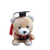 Bear Graduation Plush Toy